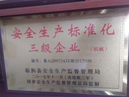 安全生產(chǎn)標準化三級企業(yè)